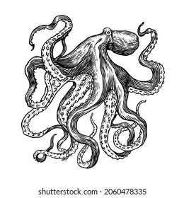 Sea octopus. Engraved hand drawn in old sketch, vintage creature. Nautical or marine, monster. Animal in the ocean. Template for logos, labels and emblems.