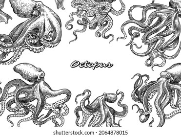 Sea octopus poster or banner. Engraved hand drawn in old sketch, vintage creature. Nautical or marine, monster. Animal in the ocean. Template for logos, labels and emblems.