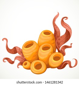 Sea orange sponges with red algae sea life object isolated on white background