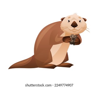 Sea Otter as Marine Mammal and Aquatic Creature with Brown Coat and Long Tail Holding Urchins Vector Illustration