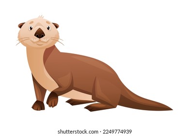 Sea Otter as Marine Mammal and Aquatic Creature with Brown Coat and Long Tail Vector Illustration