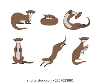 Sea Otter as Marine Mammal and Aquatic Creature with Brown Coat and Long Tail Sitting and Swimming Vector Set