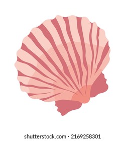 Sea oyster shell. Vector illustration