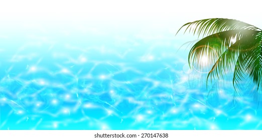 Sea palm background