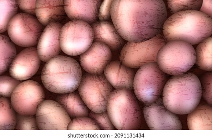 Sea pebbles are realistic stones. Vector illustration of a set of smooth stones for use in SPA treatments. A sketch for creativity.