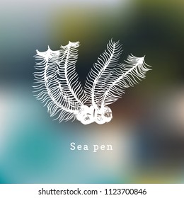 Sea Pens vector illustration. Drawing of coral polyp on blurred background.