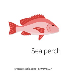 Sea perch vector icon. Flat, simple, isolated.