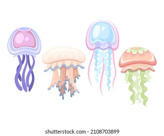 Sea pink and blue jellyfish. Tropical underwater animal. Medusa aquatic organism, cartoon style design. Flat vector illustration isolated on white background.