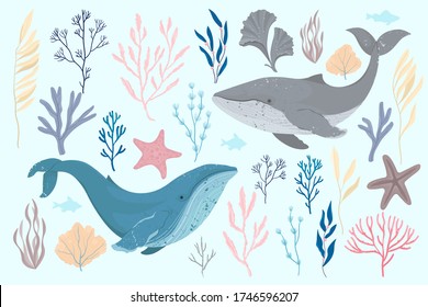 Sea plant, animal whale and aquatic marine algae. Seaweed set vector illustration.