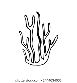 Planta de mar en estilo garabato. Vector de coral de mar dibujado a mano.