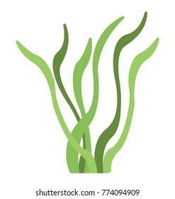 
A sea plant, flat vector icon of a seaweed
