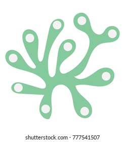 A sea plant, flat vector icon design of a seaweed