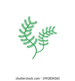 sea plant icon set vector sign symbol