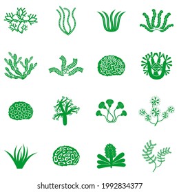 símbolo de símbolo del vector del conjunto de iconos de la planta marina
