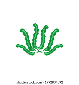 sea plant icon set vector sign symbol