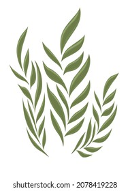 sea plant nature life icon