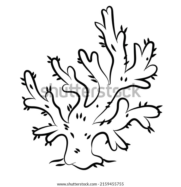 Sea Plant Vector Design Vector Design Stock Vector (Royalty Free ...