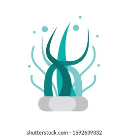 sea plant vector flat color icon 