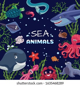 Sea plants animals funny underwater life square frame with smiling octopus fish shark whale dark background vector illustration  