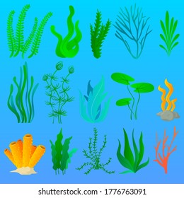 Sea plants and aquarium seaweed set
