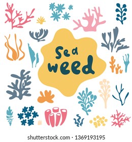 Sea plants and aquarium seaweed vector set. Nature seaweed doodle silhouette illustration