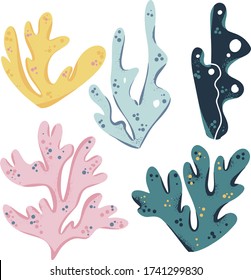 Sea plants and aquatic marine algae. Seaweed set vector illustration isolated on white background. Hand draw doodle clipart
