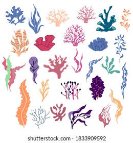 Sea Plants and Aquatic Marine Algae Vector Set. Seaweeds and Underwater Fauna Growing at the Ocean Bottom