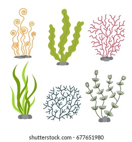 Sea plants and aquatic marine algae. Seaweed set vector illustration