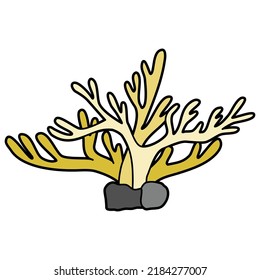 Sea plants hand drawn vector collection 