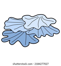 Sea plants hand drawn vector collection 