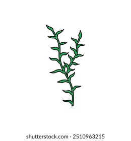sea plants isolated on white background. Coral reef vector clip art , ocean life doodle