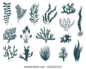 Sea plants silhouettes. Seaweed aquarium, reef seaweeds corals. Marine weeds or algae. Ocean nature decorative elements, isolated neat vector set