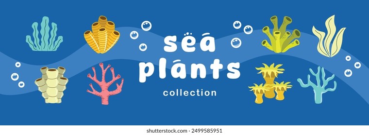 Sea plants vector illustration. Set of sea plants. Coral vector art. Seaweed vector stock. Ocean plants collection vector. Cartoon plant sea. Underwater plant art.