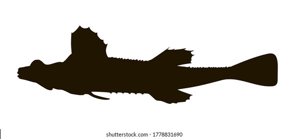 Sea poacher. Northwest Pacific ocean fish. Black silhouette hand drawn vector illustration.