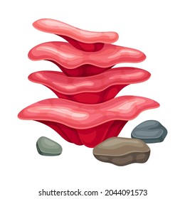 Sea Polyp Growing on the Ocean Bottom and Stone Vector Composition