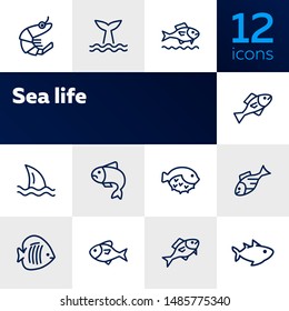 Sea products icon set. Seaanimal concept. Vector illustration can be used for topics like seafood, cuisine, cooking