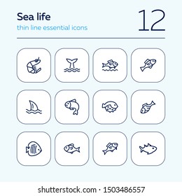 Sea products icon set. Seaanimal concept. Vector illustration can be used for topics like seafood, cuisine, cooking