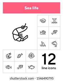 Sea products icon set. Seaanimal concept. Vector illustration can be used for topics like seafood, cuisine, cooking