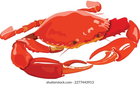 Sea red crab Sea water animal with claws