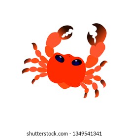 sea red cute cartoon crab vector image
