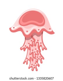 Sea red jellyfish. Tropical underwater animal. Medusa aquatic organism, cartoon style design. Flat vector illustration isolated on white background.