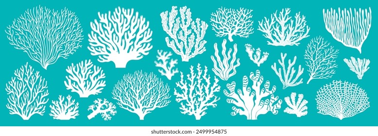 Sea reef corals and ocean seaweeds silhouettes or imprints, vector white icons. Cartoon undersea and ocean underwater fauna plants background with corals and actinia aquatic flowers for marine pattern