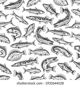 Sea and river fishes seamless pattern. Pike, carp and perch, mackerel, salmon and sardine, tuna, sheatfish and marlin, flounder vector. Seafood, fishing print or background with freshwater, sea fishes