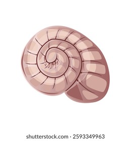 Sea or river shell. Flat style. For brandin, logos, stationery, invitations, packaging design, website and app design, print materials.