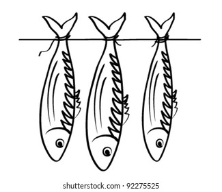 Sea roach. Stockfish