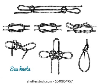 Sea rope knots in different directions for water transport. Marine sketch with ornament. engraved hand drawn, atlantic tidal wave. Tied and twisted nautical cord for Military fleet, ships and yachts.