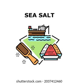 Concepto de icono de vectores de producción de sal marina. Fábrica De Producción De Sal Marítima A Orillas Del Mar Y Cocina De Hojas De Madera Utensil. Mineral De La Temporada Para Sabores Y Cocina Deliciosa Ilustración De Color De La Comida