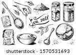 Sea salt set. Glass bottles, packaging and and leaves, wooden spoons, powdered powder, spice in the hand. Vintage background poster. Engraved hand drawn sketch. 