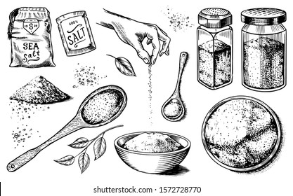Sea Salt Set. Glass Bottles, Packaging And And Leaves, Wooden Spoons, Powdered Powder, Spice In The Hand. Vintage Background Poster. Engraved Hand Drawn Sketch. 