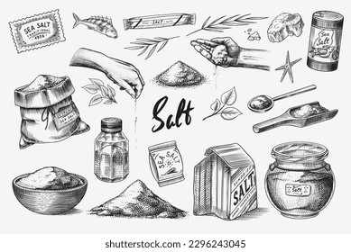 Sea salt set. Glass bottles, packaging and and leaves, wooden spoons, powdered powder, spice in the hand. Vintage background banner. Engraved hand drawn sketch.